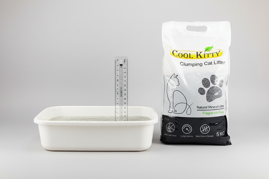 How Much Cat Litter Does One Cat Need?