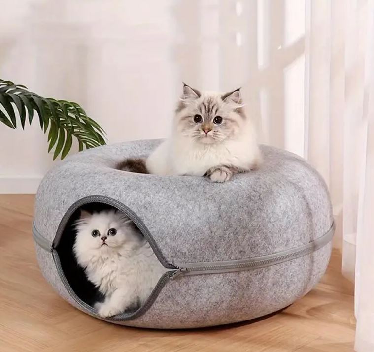 Cool Kitty Cat Litter