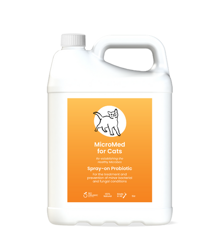 MicroMed for Cats Acute Care