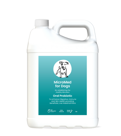 MicroMed for Dogs Everyday Care