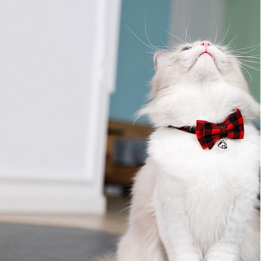 Cat Collar - British Plaid